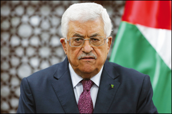 Palestinesi: notizie <br/>false e fatti alternativi