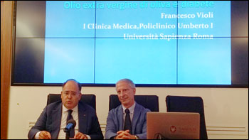 Olio d’oliva: proprietà   anti-diabetiche 