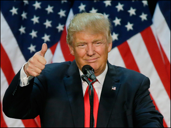 In Donald we trust 