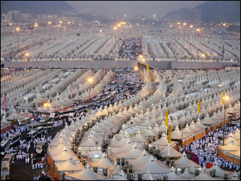 La soluzione saudita 