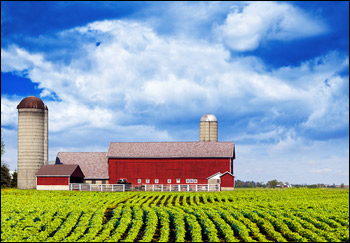 I nostri takeaways dall’Iowa 