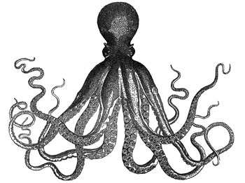 I lunghi tentacoli   della “piovra nera” 