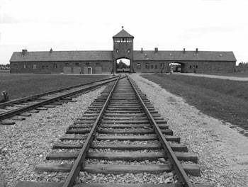 L’esaurimento della Memoria 