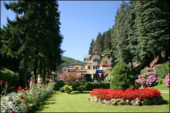 Viaggio alle radici del nostro benessere