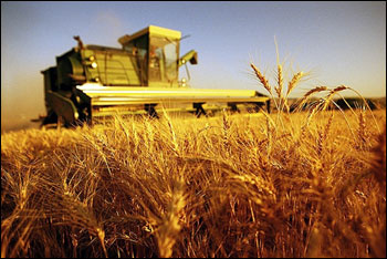 Inac e Cia difendono l’agricoltura indebitata