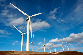 Ecologia con economia finita al... verde