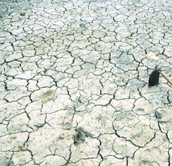 Coldiretti lancia l'allarme carestia 