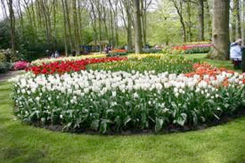 L'Italia, un bel giardino fiorito 