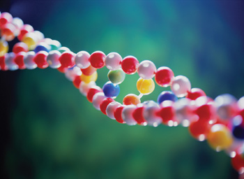 Yara e quei (ridicoli) test del dna 