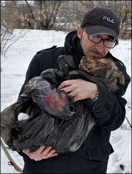 Ucraina, il racconto delle stragi dei cani 