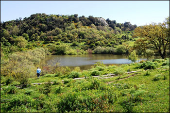 Bosco della Ficuzza:  cimitero di notizie 