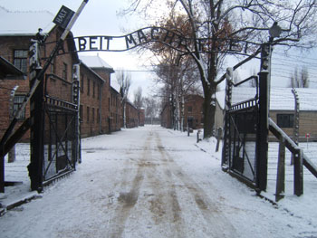 Oggi commemorazione   della Shoah 