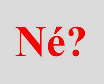 Referendum: Sì, No, Né! 