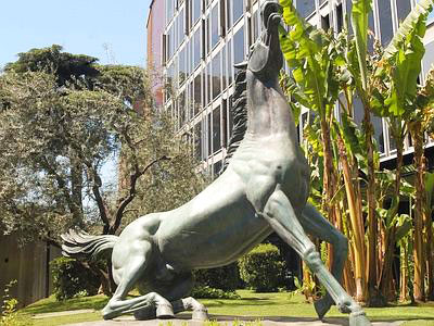 Italiani, popolo di consiglieri Rai 