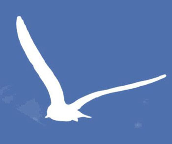 Gli anticorpi della Libertà 