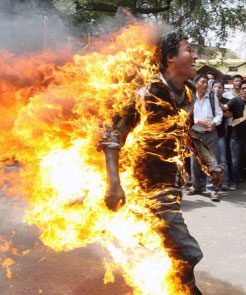 La rivolta dei poveri cristi 