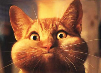 L'ingordigia a 5 stelle e la matematica 