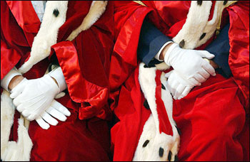 L’audace colpo dei soliti idioti 