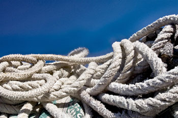 Nodi sempre ignorati e fiumi di parole 