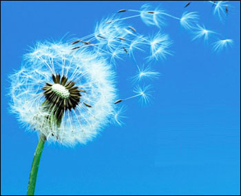 L’insostenibile leggerezza di Monti 