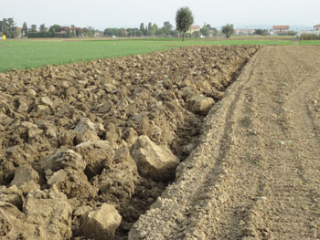 L’aratro, il solco e Confalonieri 