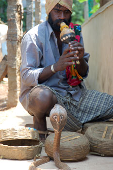 Ora basta con gli  incantatori di serpenti 