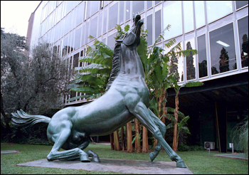 Rai: antipolitica,  uomo solo al comando 