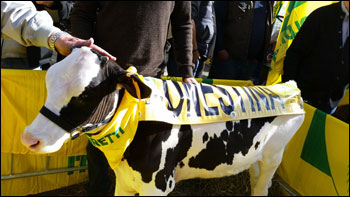 Se “Onestina” incontra Matteo Renzi 