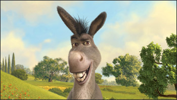 Centrodestra:sindrome dell’asino di Buridano 