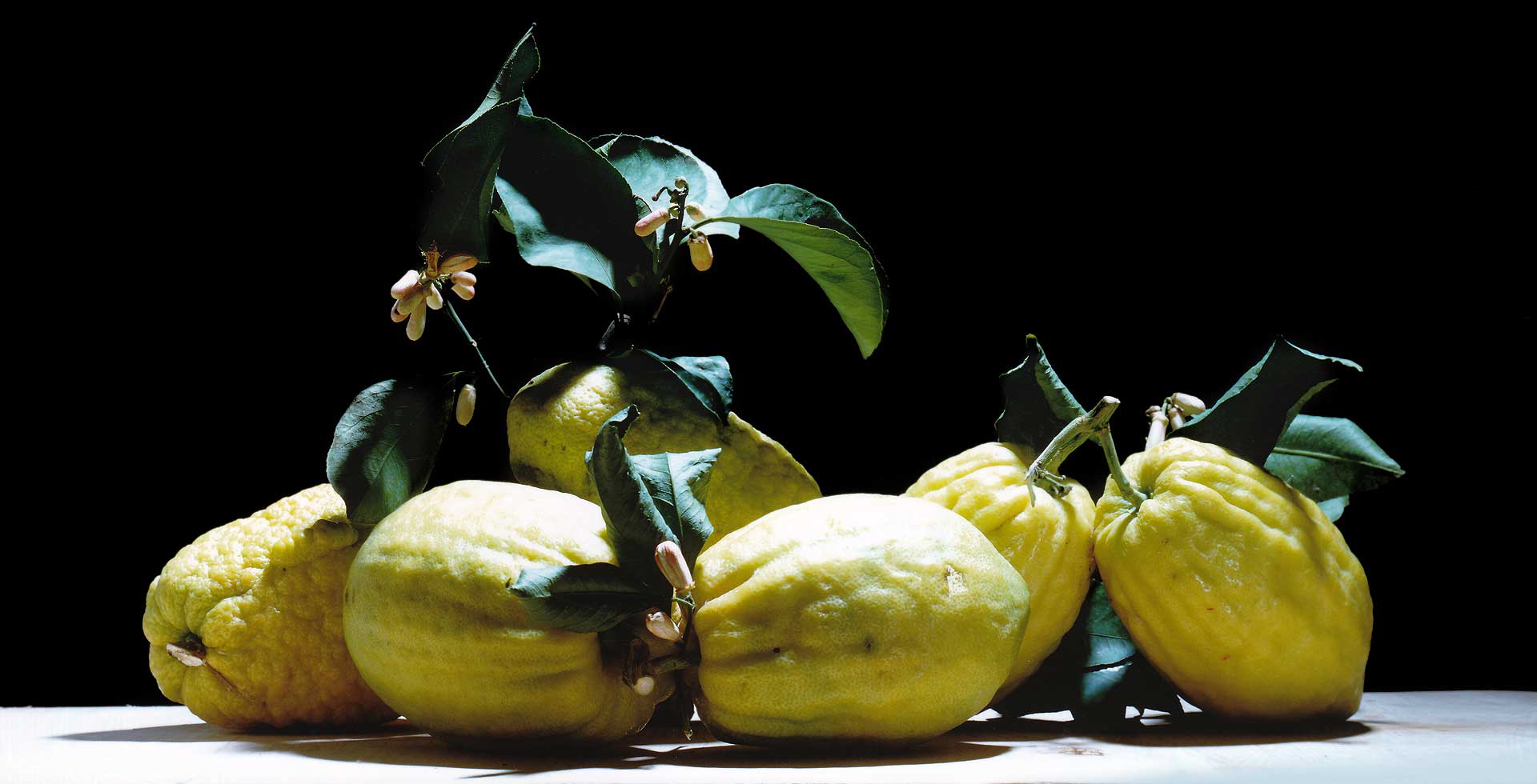 In ricordo di Orlando Ricci