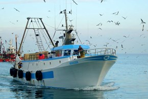 Mauro: “sostegno al settore della pesca” 