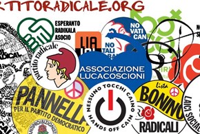 I due partiti radicali