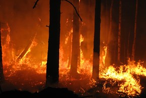 La normalità del nostro tempo: siccità, incendi e nubifragi