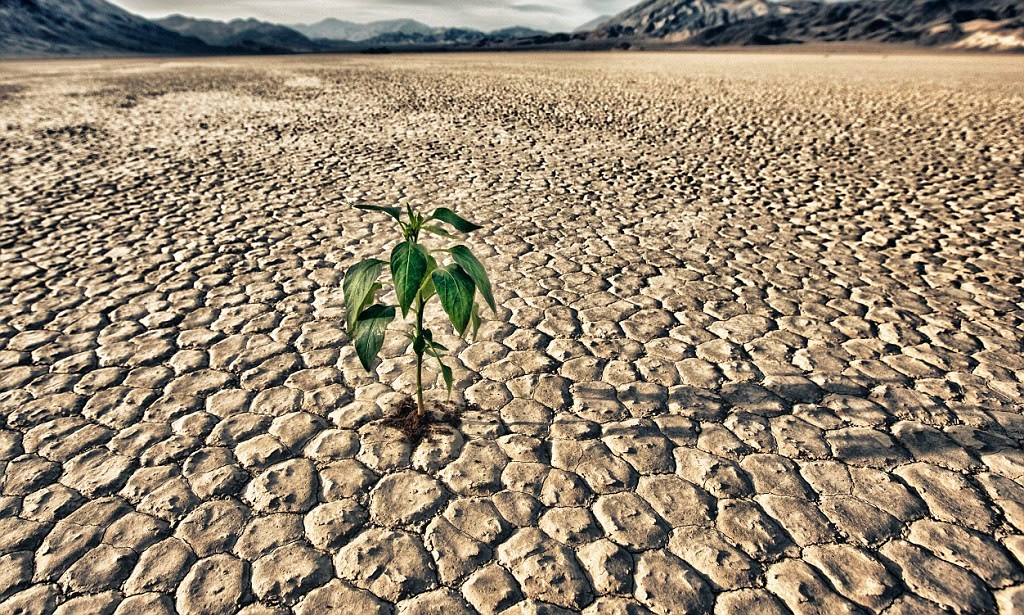 Siccità: gli ultimi 9 mesi sono stati i più secchi di sempre