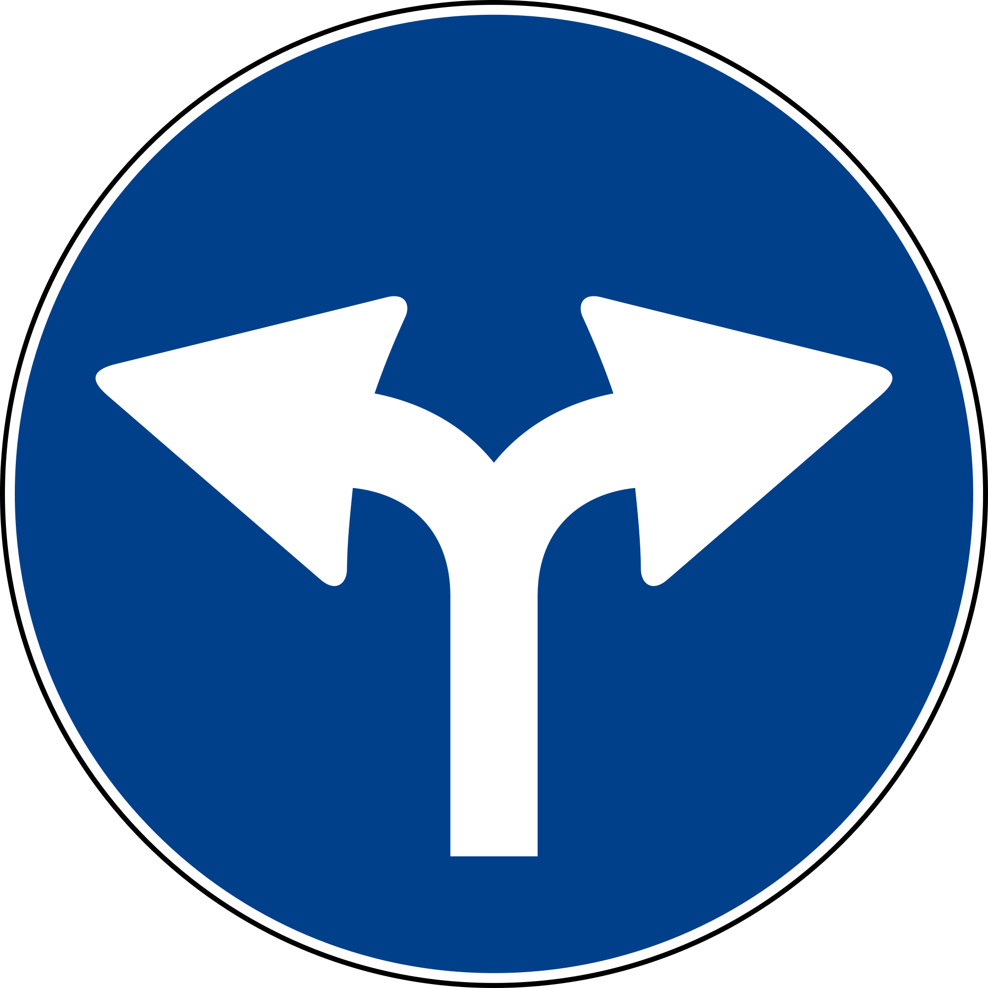 Destra e Sinistra nella democrazia costituzionale