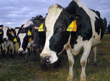 Dopo 16 anni la Cina rimuove il bando sulla carne italiana