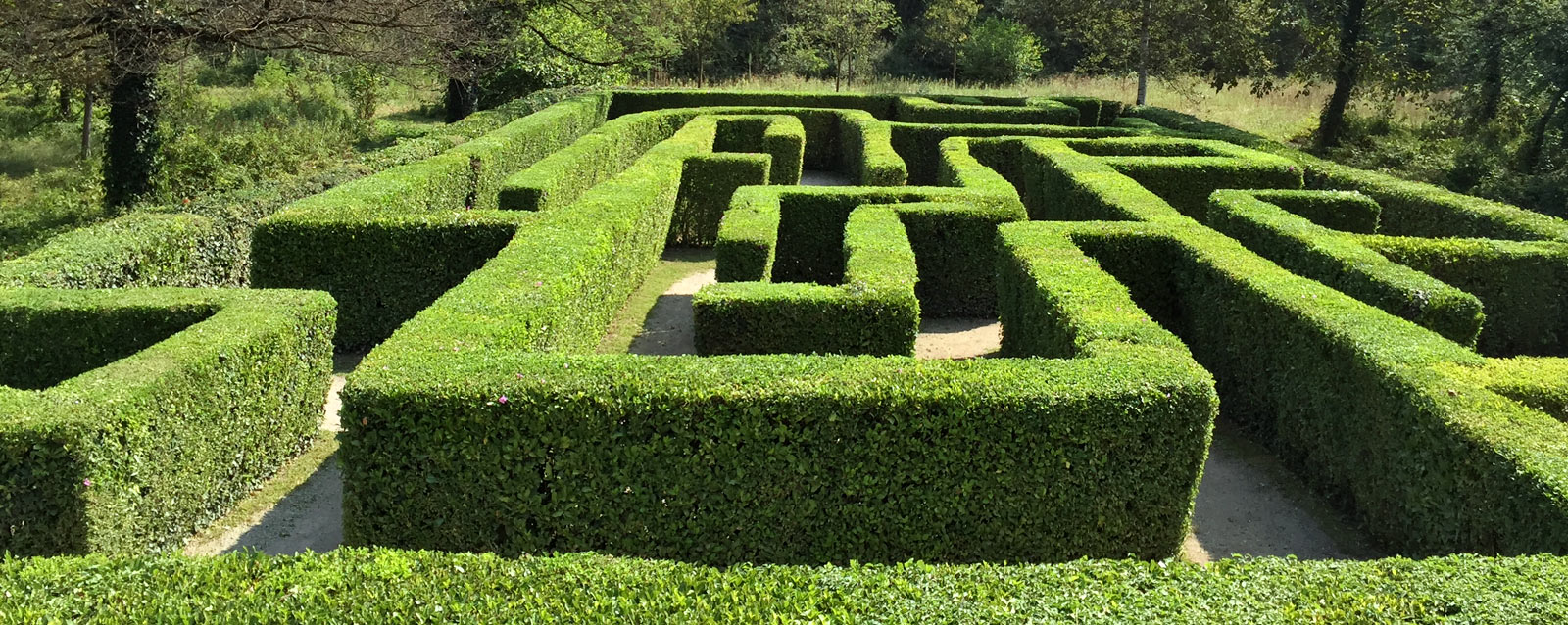 Il paradosso della semplificazione 