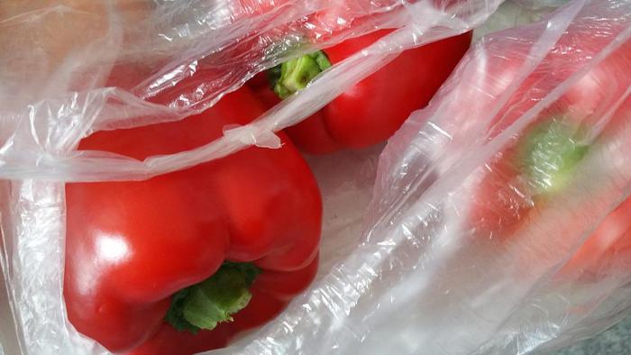 Sacchetti “bio”: 12 euro all’anno 