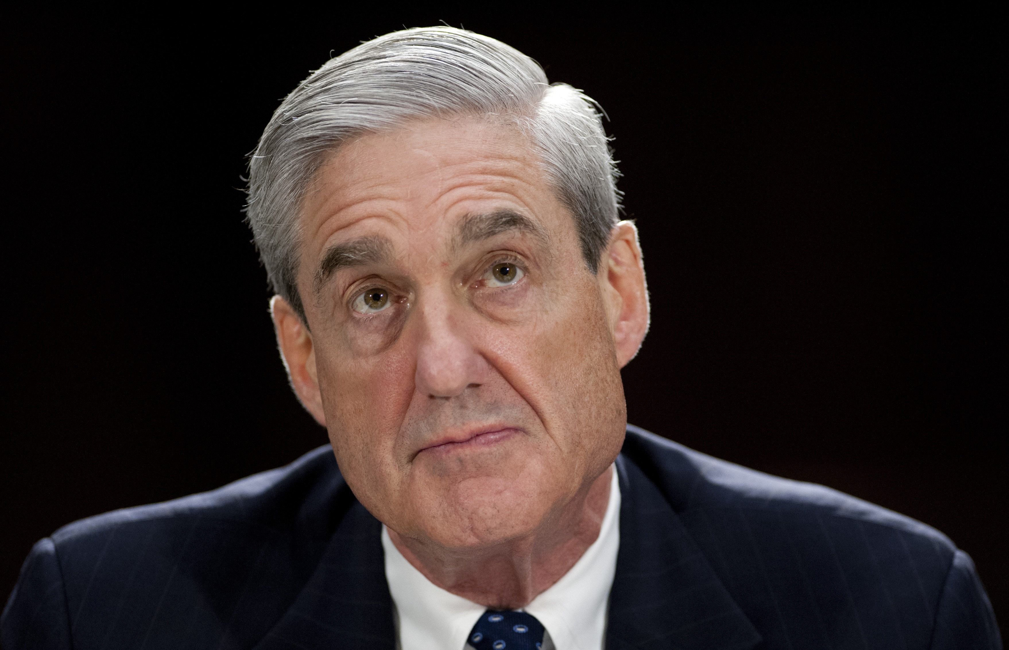 Sul Russiagate intervengono gli 007 olandesi