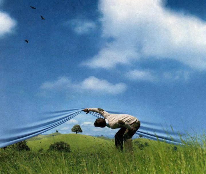 Sondaggi e scenari