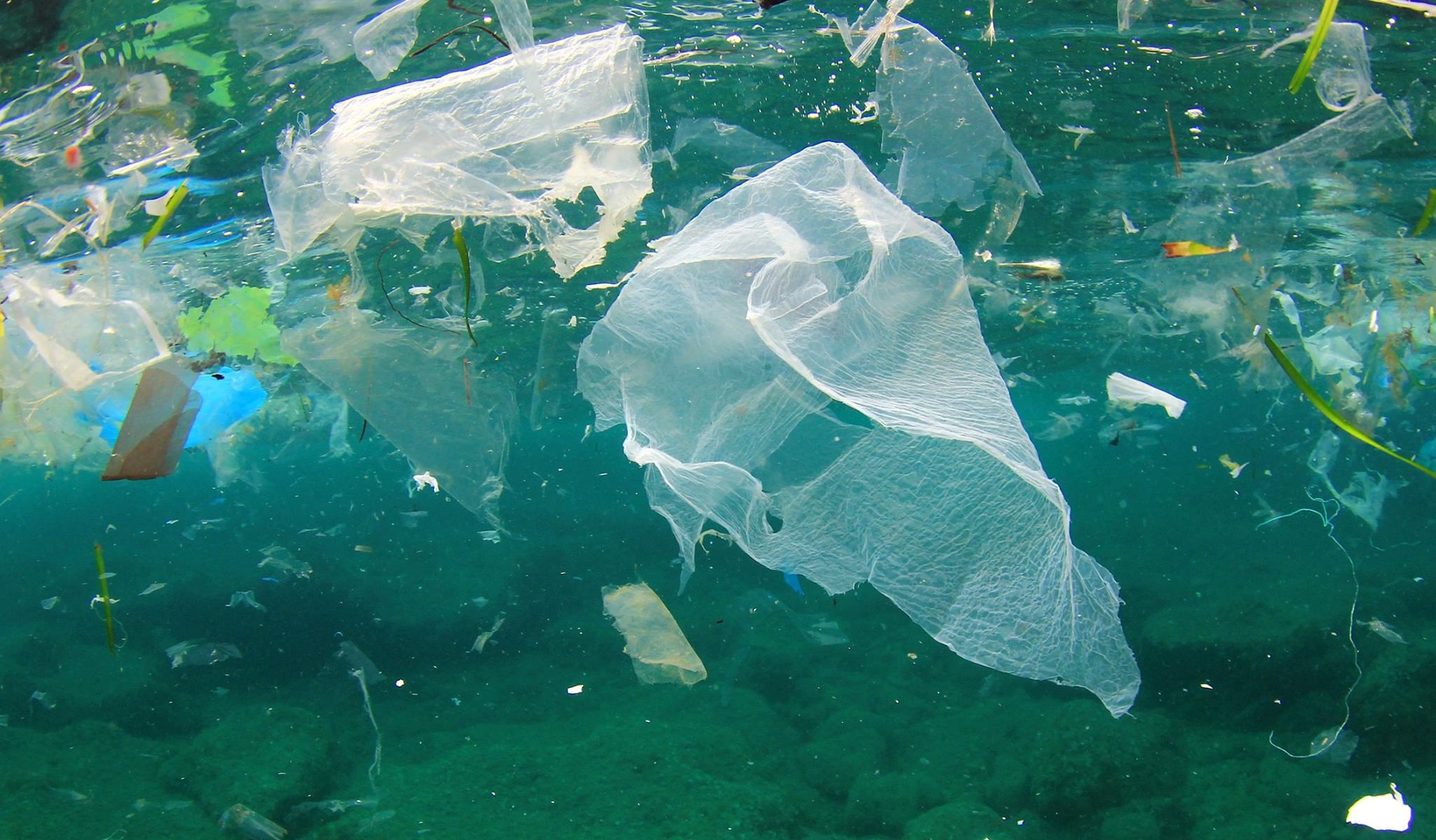 La plastica nell’umido finisce nel piatto