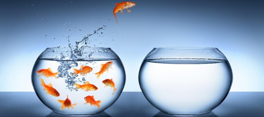 Cercasi exit strategy 