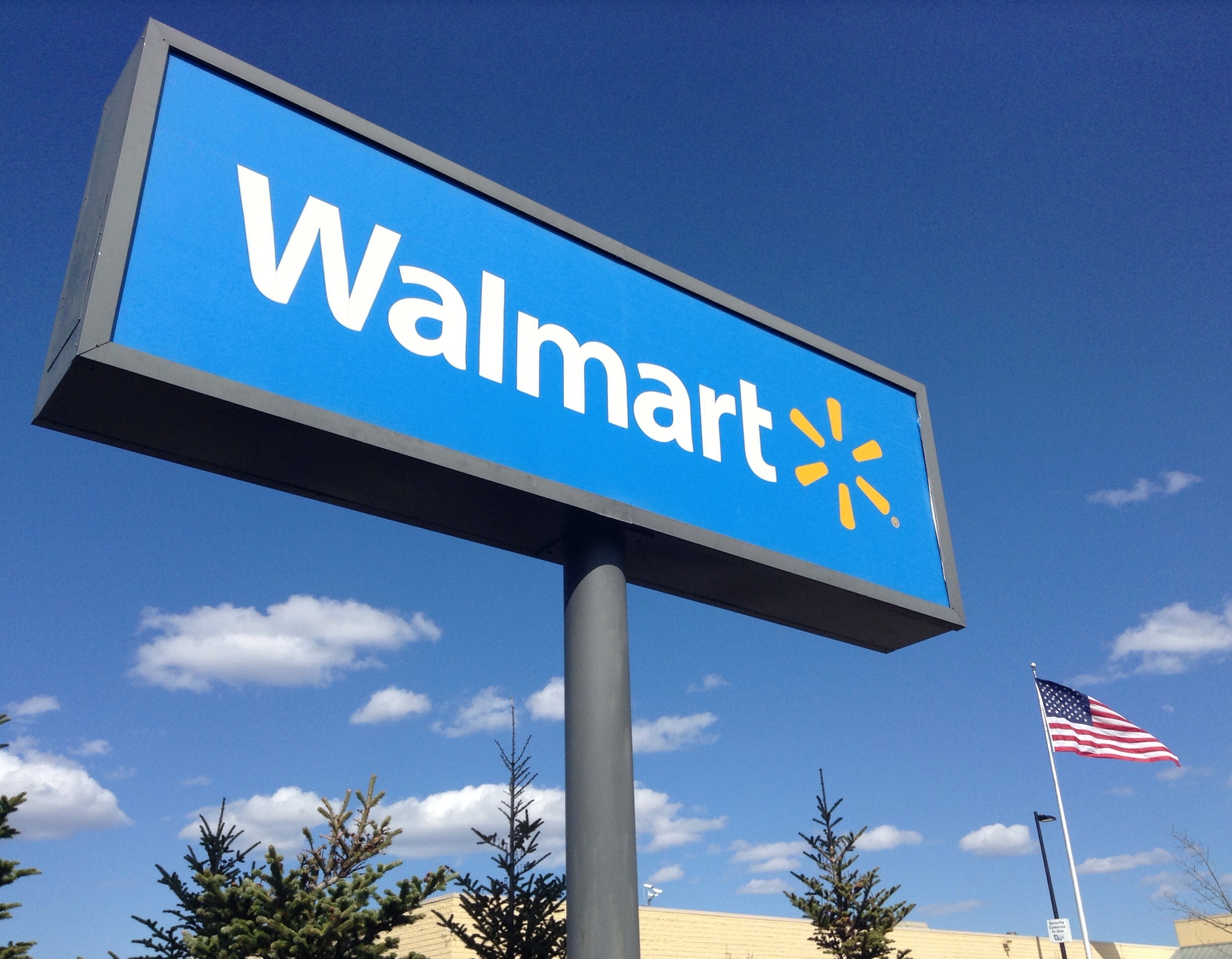 India, schiaffo di Walmart ad Amazon: comprato Flipkart