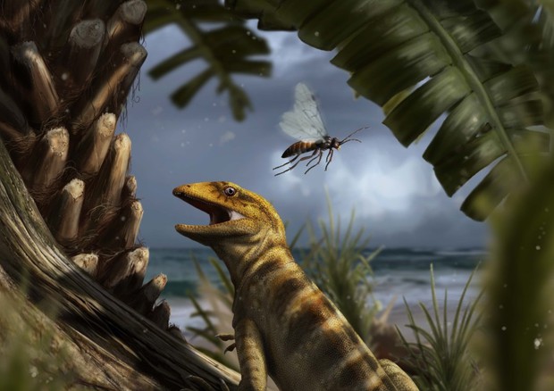 Dalle Dolomiti la lucertola più antica del mondo 