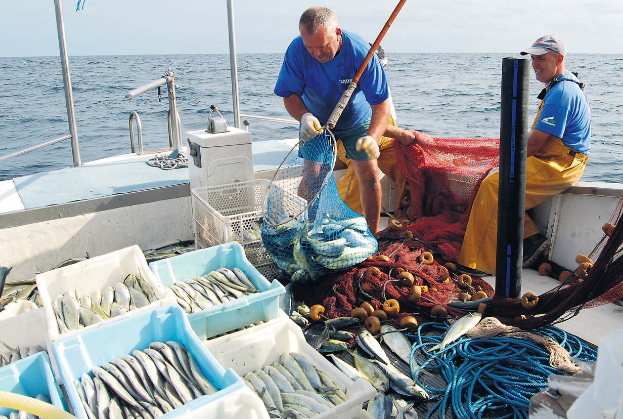Impianti sportivi e pescatori, redditi sotto 5mila euro 