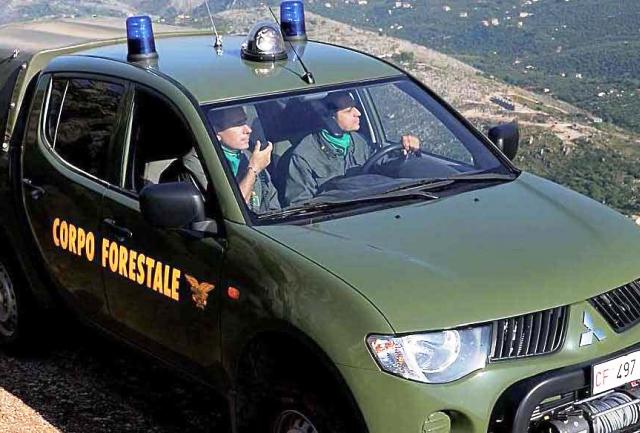 PA: urge una riforma strutturale 