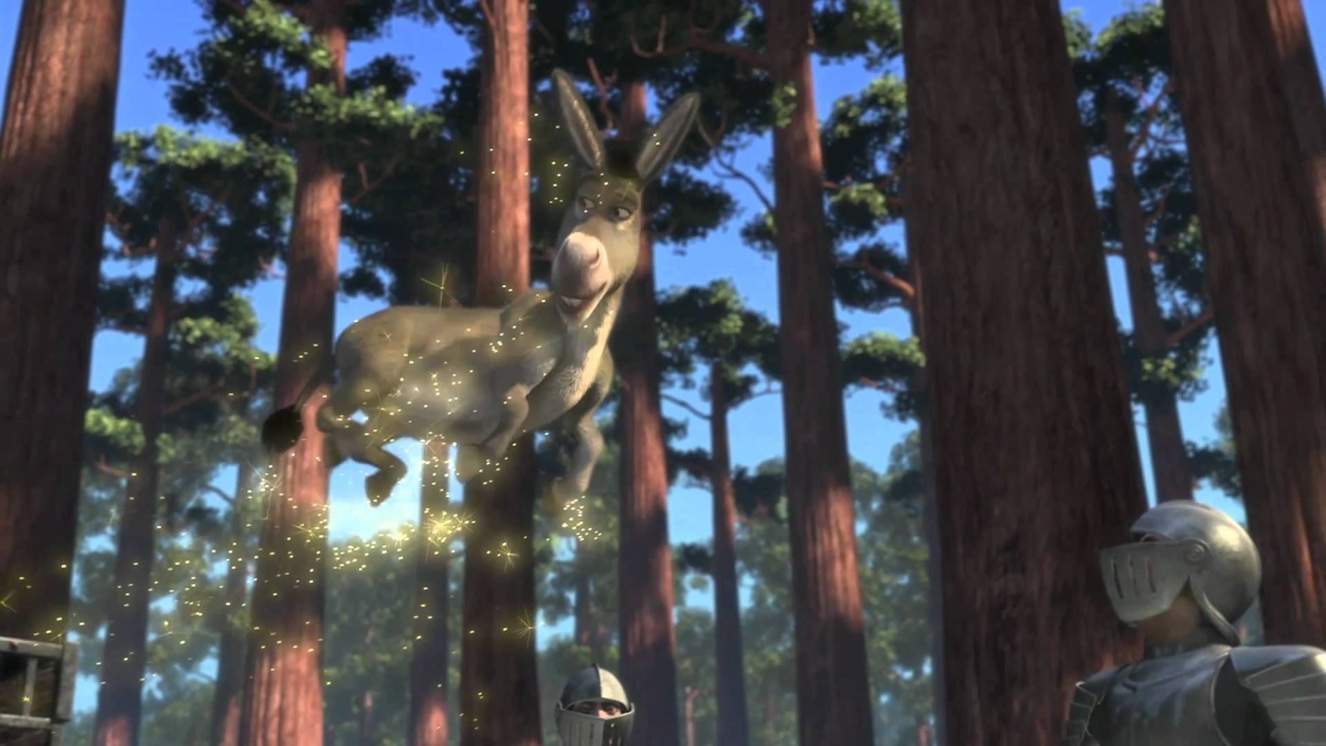 La dignità degli asini volanti