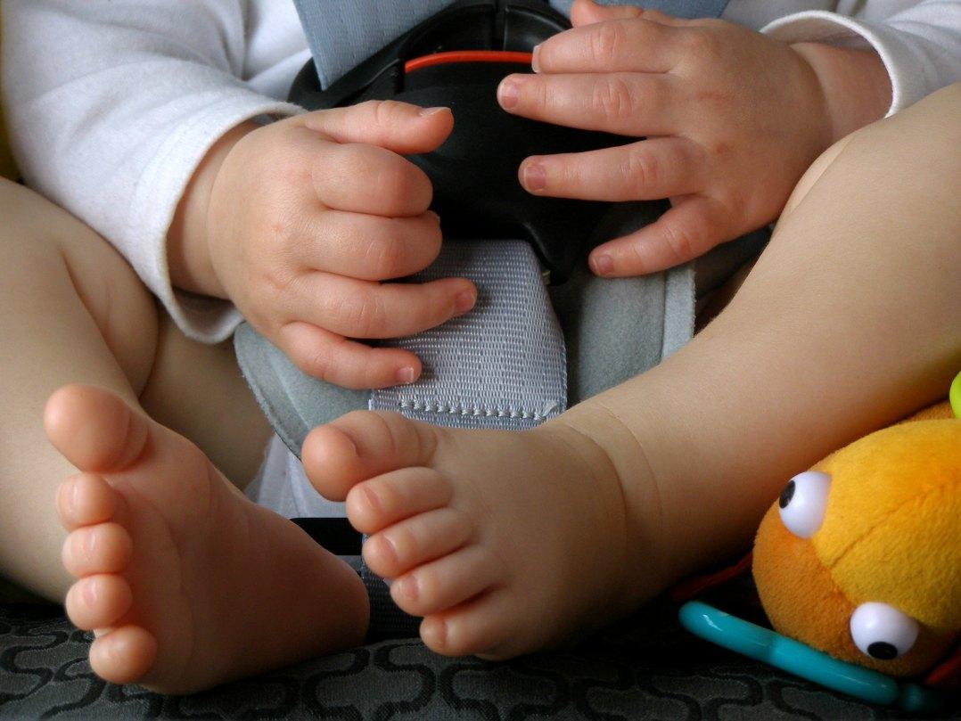 Ddl seggiolini è legge, Meloni festeggia