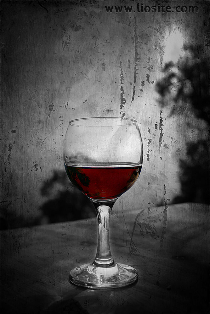 Trentino-Alto Adige: l’amaro calice di Forza Italia