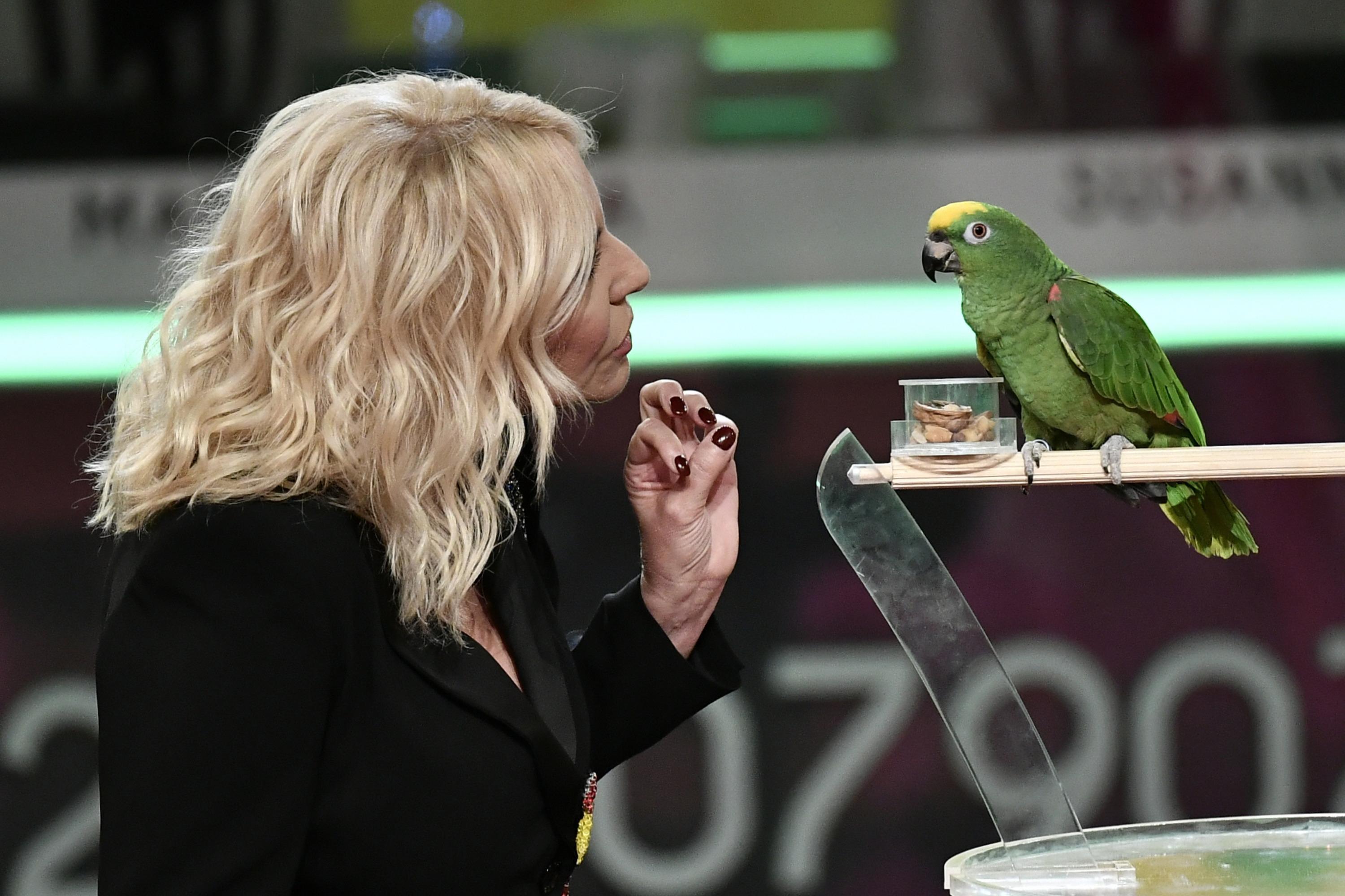 Portobello: il pappagallo è vivo ma il format è morto